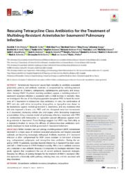 Rescuing Tetracycline Class Antibiotics for the Treatment of Multidrug-Resistant Acinetobacter baumannii Pulmonary Infection