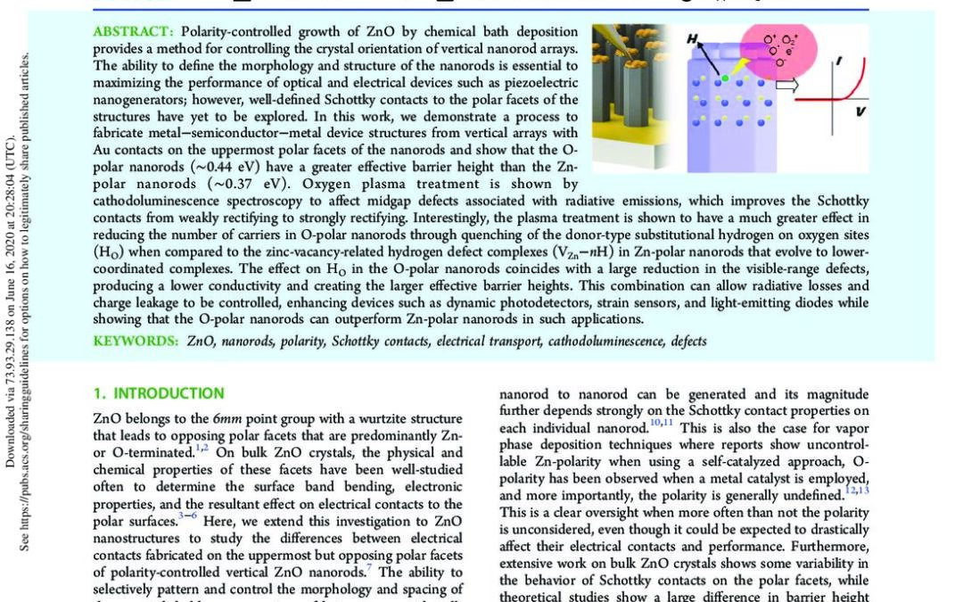 Schottky Contacts on Polarity-Controlled Vertical ZnO Nanorods