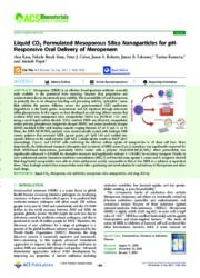 Liquid CO2 Formulated Mesoporous Silica Nanoparticles for pH-Responsive Oral Delivery of Meropenem