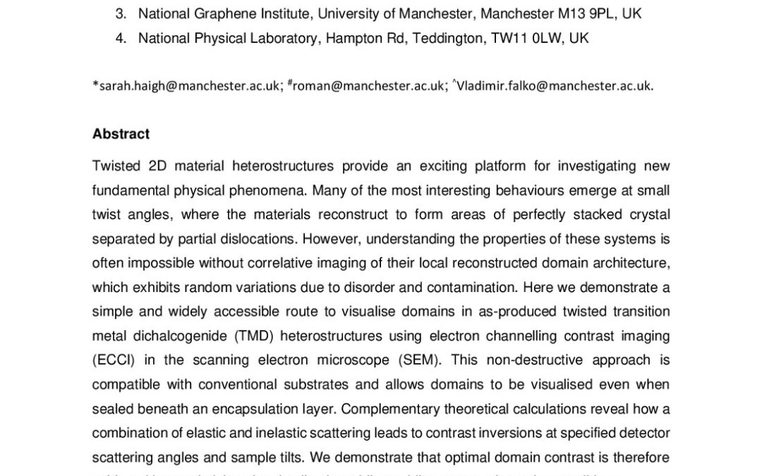 Electron Channelling Contrast SEM Imaging of Twist Domains in Transition Metal Dichalcogenide Heterostructures
